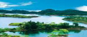 淳安-千岛湖-森林氧吧