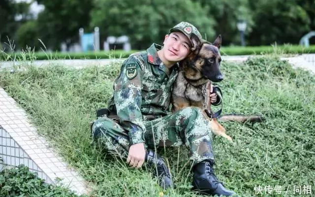 奇兵神犬》如何突破思维桎梏、升级军旅题材