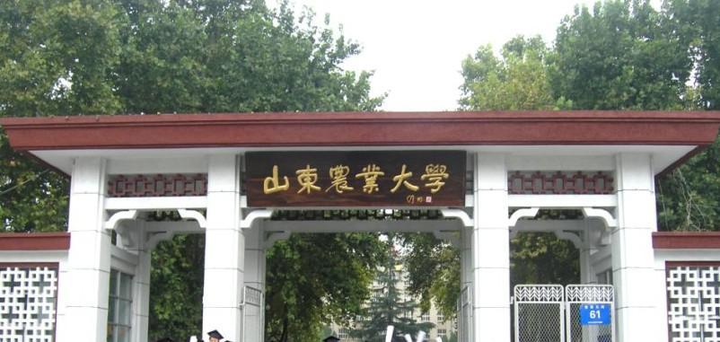 山东农业大学怎么样