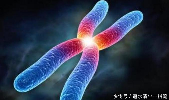 胎儿筛查畸形的最佳时间?每天坚持吃点,让孕妈