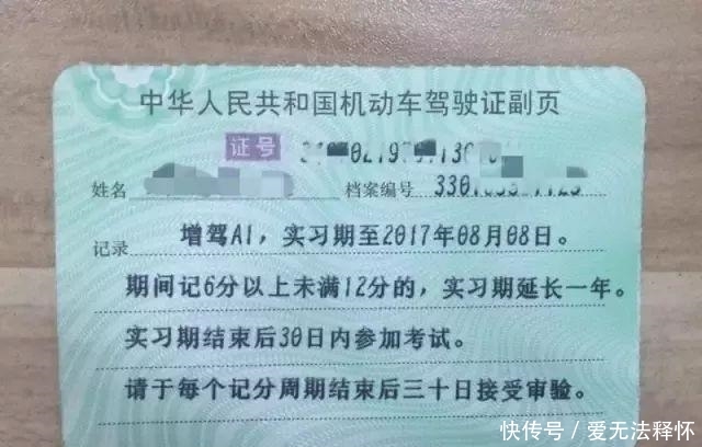 机动车驾驶证档案编号