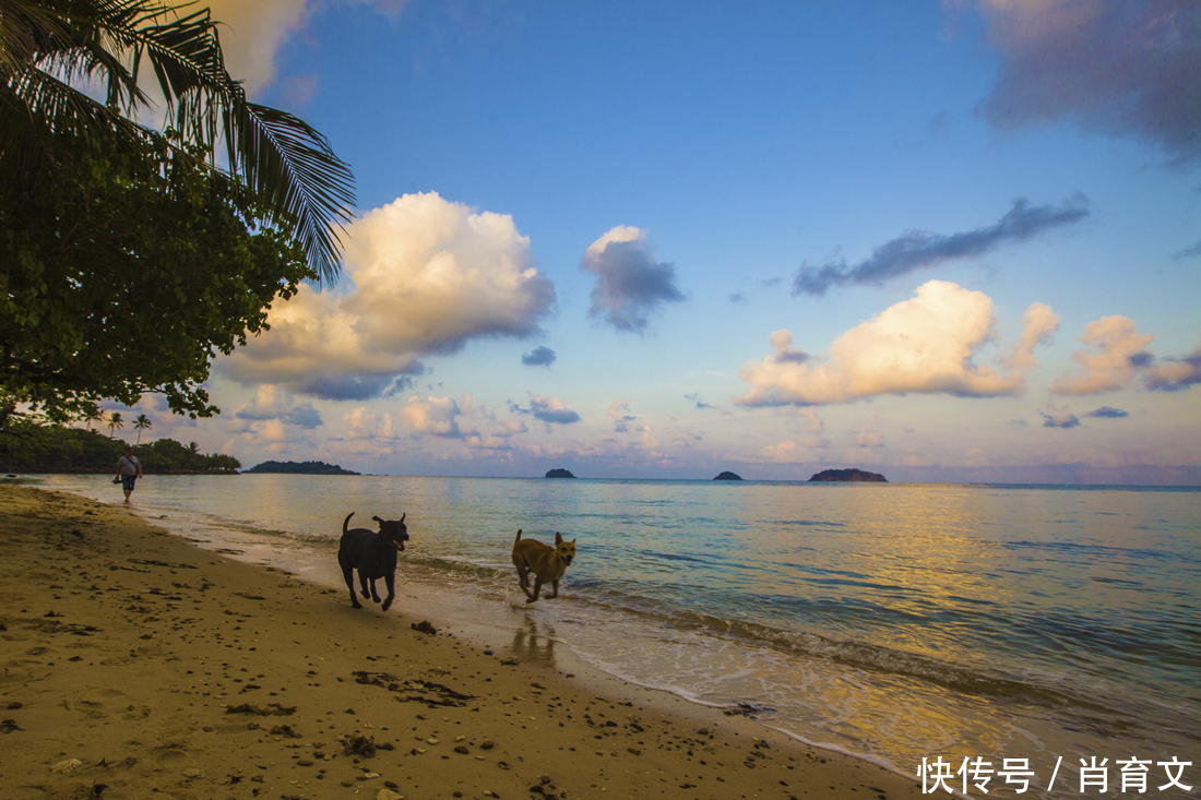 在2018神奇泰国旅游年里,我们赴泰国旅游一定