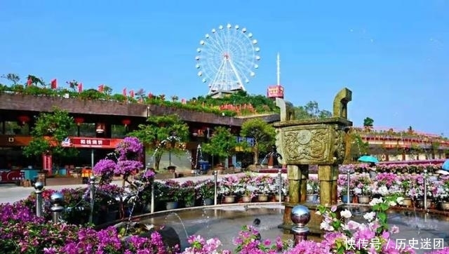 素质与修养青少年