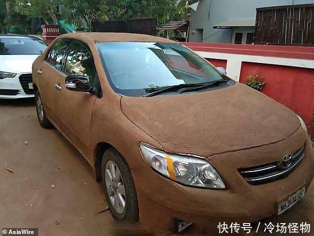 为防止高温暴晒,印度女司机为爱车贴牛屎降温 白金会娱乐