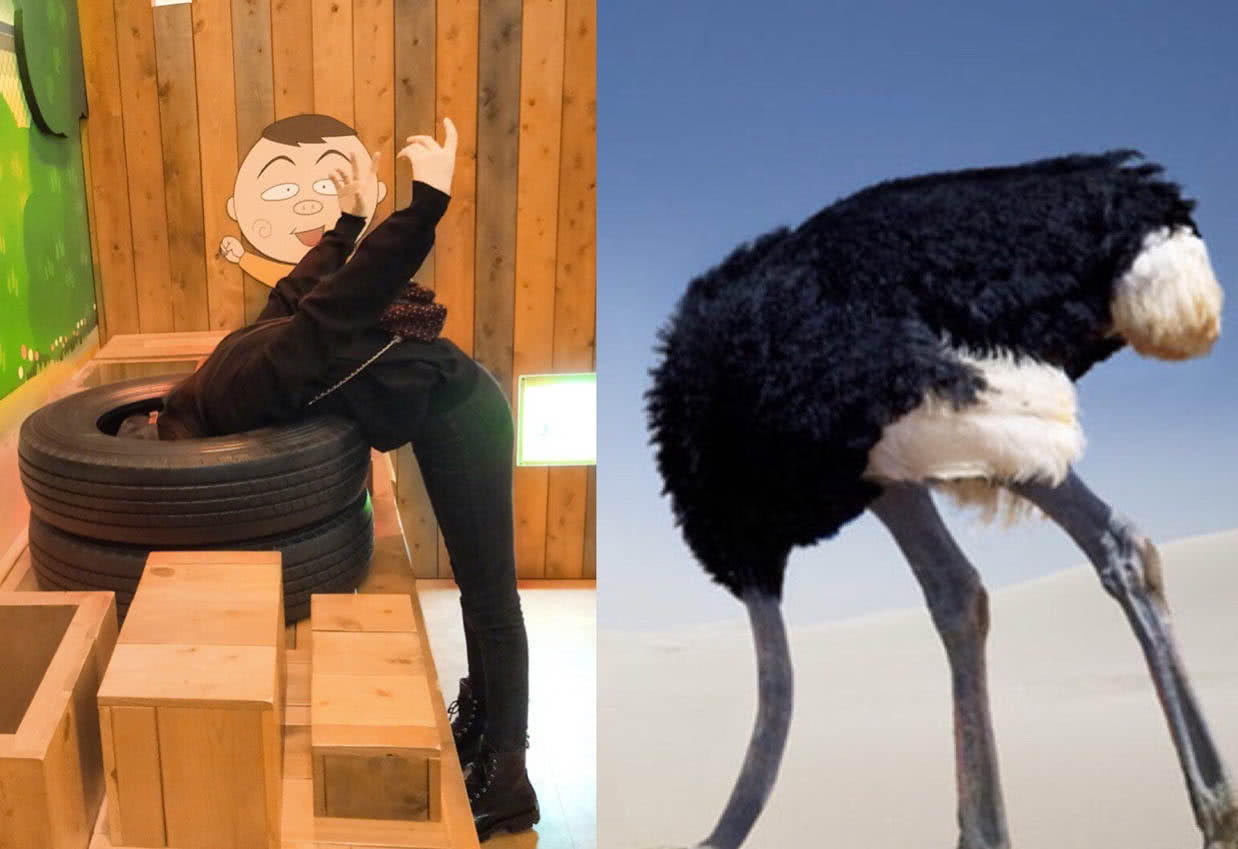 迪丽热巴的拍照姿势,图一就模仿不了最后一张