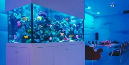 天水水族館diy沉淀桶