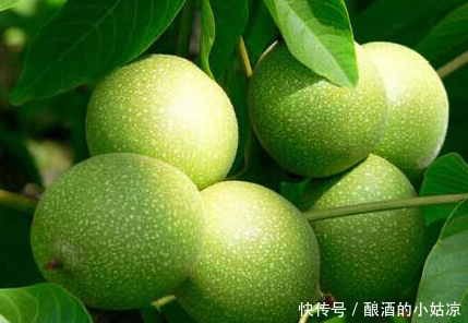 青皮核桃怎么泡酒,青皮核桃泡酒的功效与作用