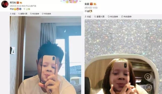 贾乃亮否认与金晨恋情,手机壳自购,猫是公司的