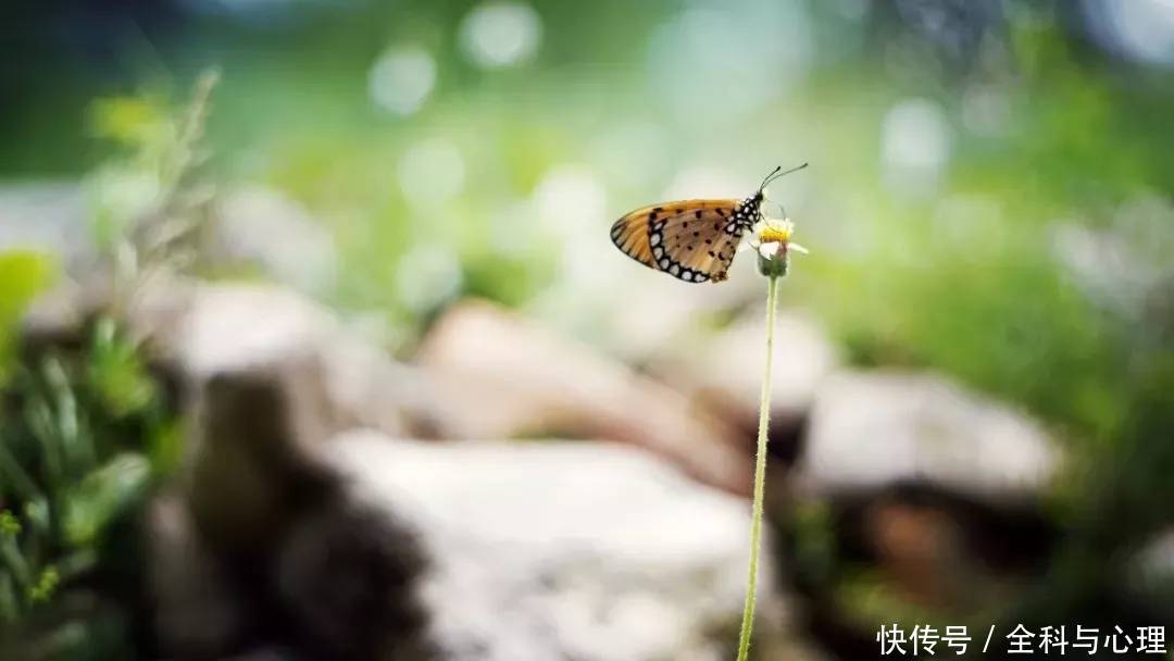 晚安心语:人活着的意义应当是在过程,而不是结