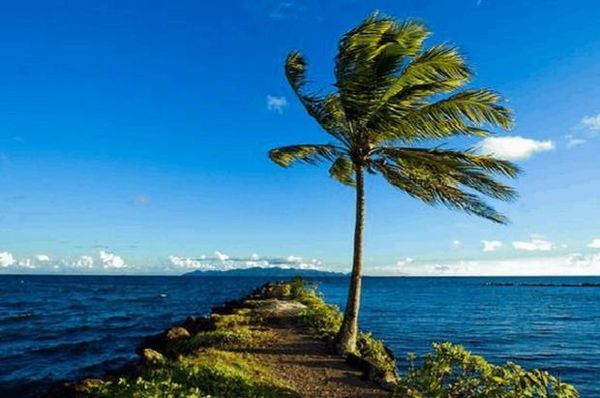 斐济地接社,斐济最美丽的岛屿是哪个_360问答