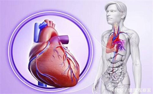 夏季养心护心最重要,心脏好不好,看3个地方!