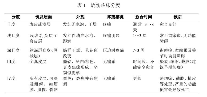 【急症救治】儿童烧烫伤紧急救治