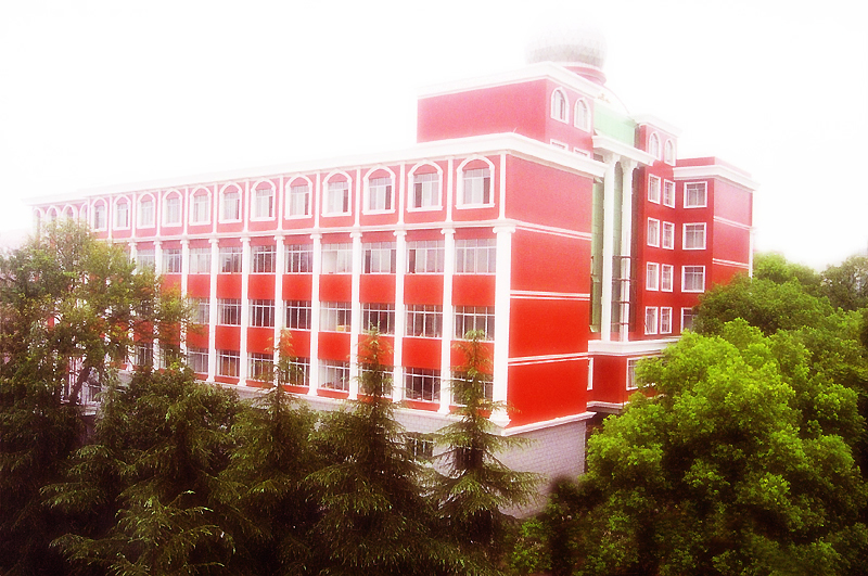 邵阳市第二中学教师数学初中考试招聘图片