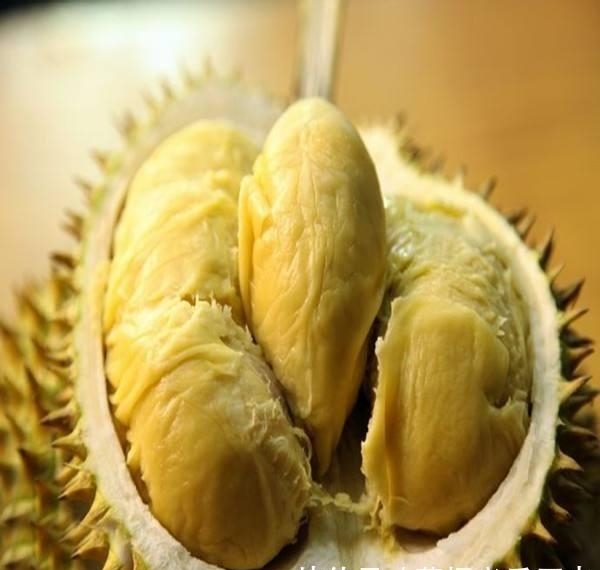 榴莲开口了但肉很硬