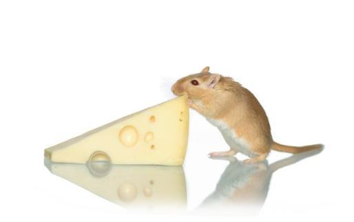 太子彩票:2018年买彩票能中奖,事业兴旺,财运大