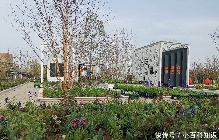 不出国门的世界园艺之旅 北京世园会国际展园