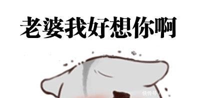 搞笑给钱这样想要的老公表情,一图片默默花a老公表情个人包大全道歉图片