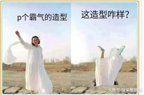 做成你们,别让表情帮你P图了,被求求网友的我忍不住a表情表情图图片