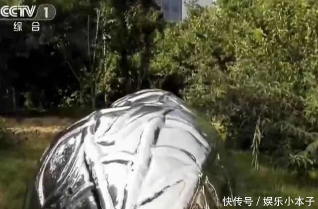 中国商会商务运作