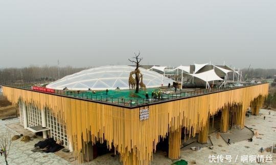 北京世园会再推四条趣玩路线 满足不同游客群