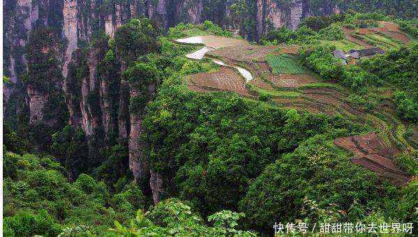 藏在悬崖峭壁的空中田园 终于找到了!