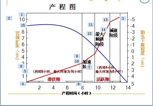 为什么产程图里面胎头下降程度的起点是-4而不是-5?