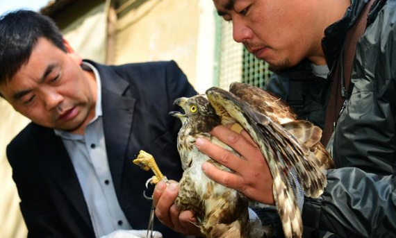 责任和义务的区别