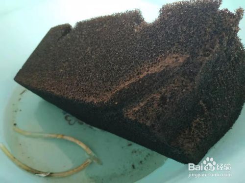 森森ZRB系列水族加熱棒（森森水族箱加熱棒使用方法）