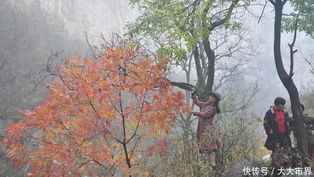 初冬随户外穿越焦作太行驸马谷--浓雾笼罩下的