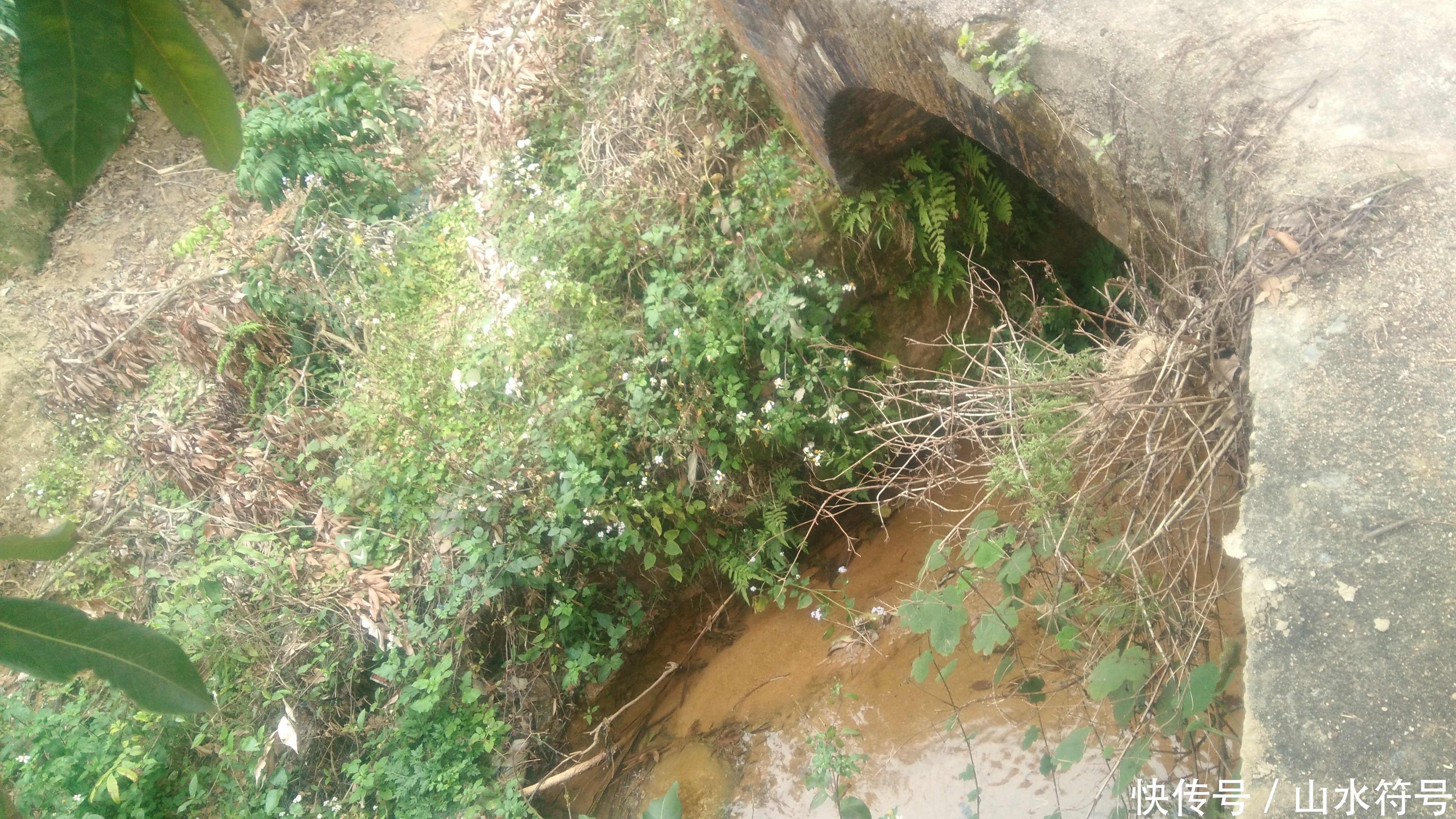 春节后的农田景象广西浦北县白石水