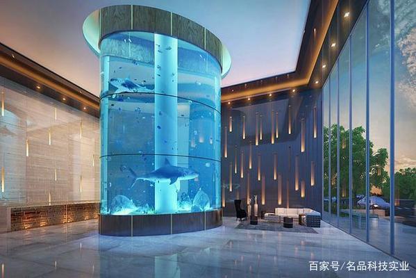 洛陽市洛龍區(qū)可麗愛水族館