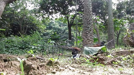 津门飞鹰最精彩的打斗场面,燕双鹰和云建明意