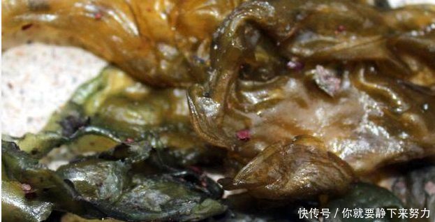 特别的抗癌,但是农村人却嫌它脏不愿吃!这是农