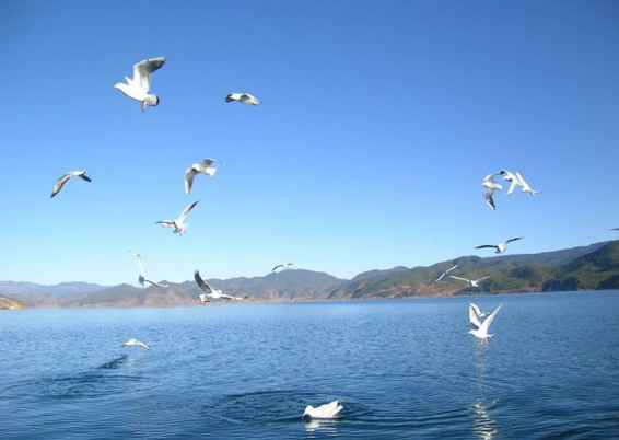 301 Moved Permanently