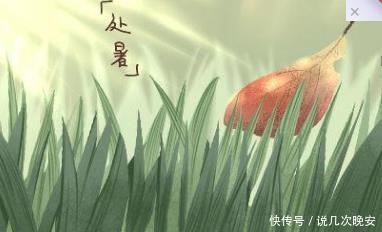 处暑节气适合喝什么汤,很多,总有一种是适合你的 兴发娱乐官网登陆