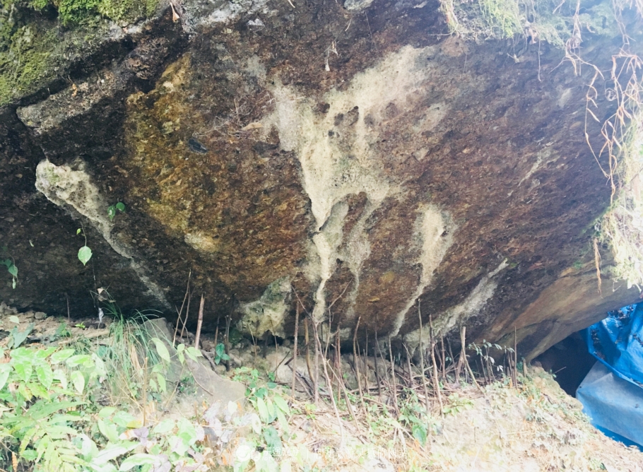 青城后山，没进都江堰的都江堰之旅