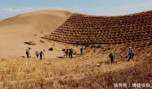 破坏环境的事例