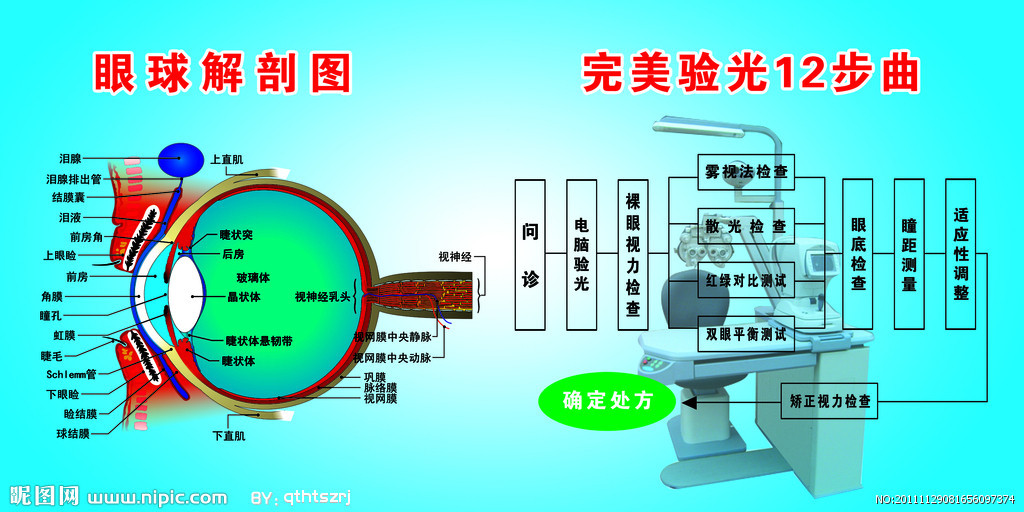 眼球