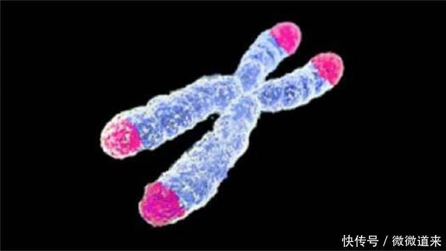 科学界最尖端的125个谜团, 诺贝尔奖在等待它们