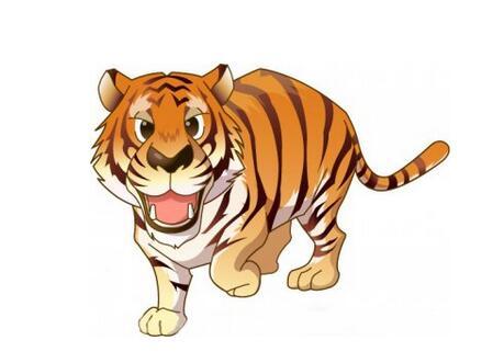 出生1986年的鸡年运程不错,2018年会怎样?