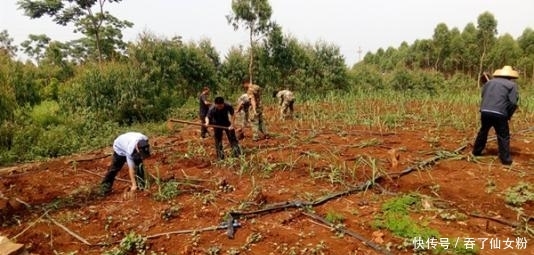 2019年农村土地征收新补贴,一亩地补多少钱,给