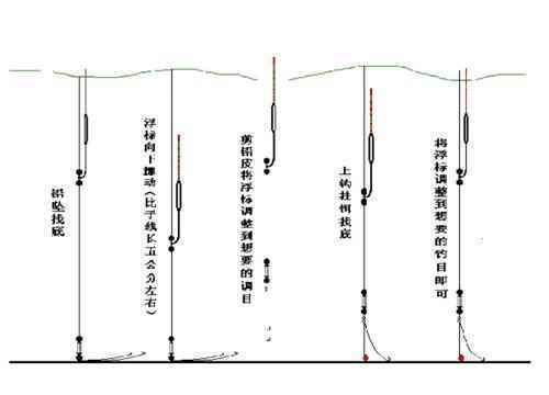 钓鱼：旁边的钓友总上鱼，自己的窝点却没动静，其实道理很简单！