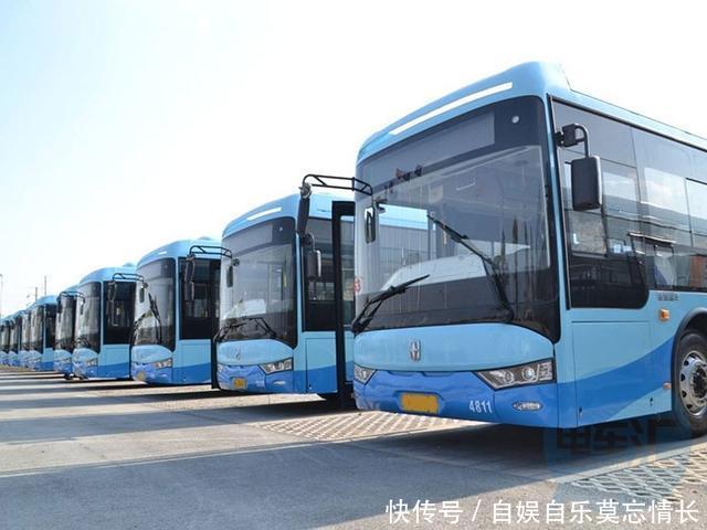 一台新能源汽车进入推荐目录要花多少钱 吉祥坊太阳城代理