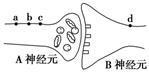 下图为一突触的结构模式图.