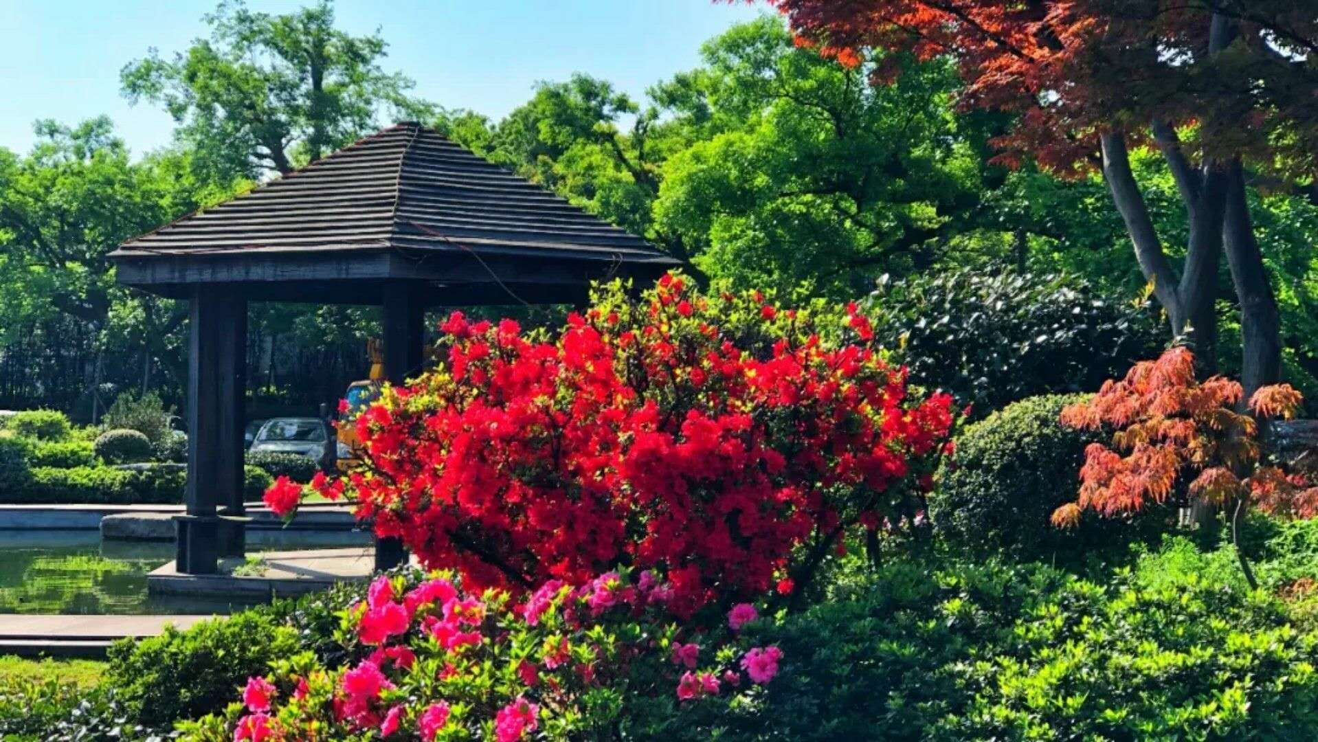 马云教你如何在当下创业赚钱,选择大于努力,一