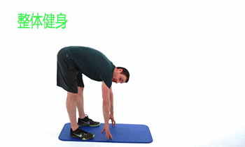 8个健身后拉伸动作,充分拉伸肌肉,帮你减少练后第2天肌肉酸痛问题!