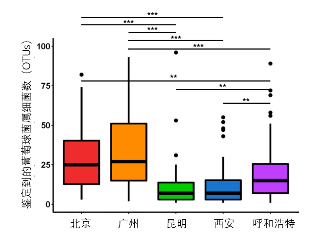 为什么大城市的姑娘容易皮肤差?