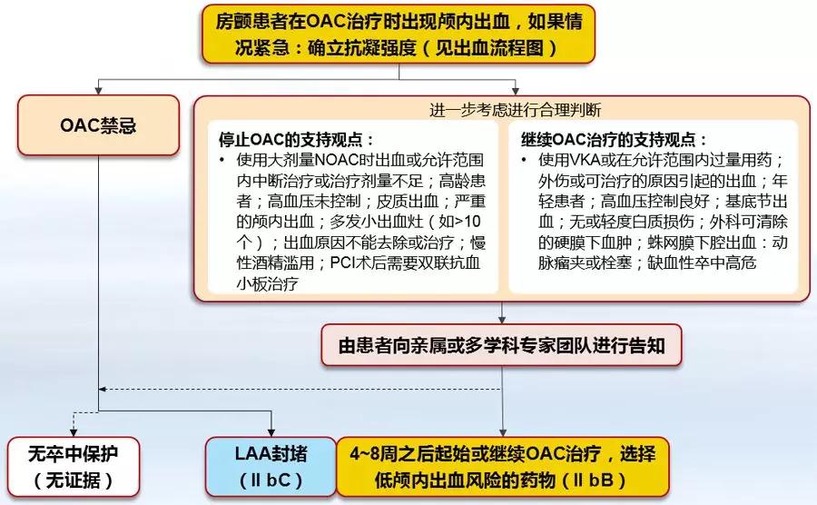 孟强:房颤导致脑梗死患者的二级预防