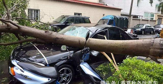 新车保险如何计算