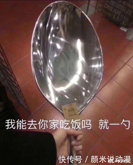 杨紫晒搞笑喝酒1照,网友比人还大,酒杯王俊凯猫咪表情包斗图图片